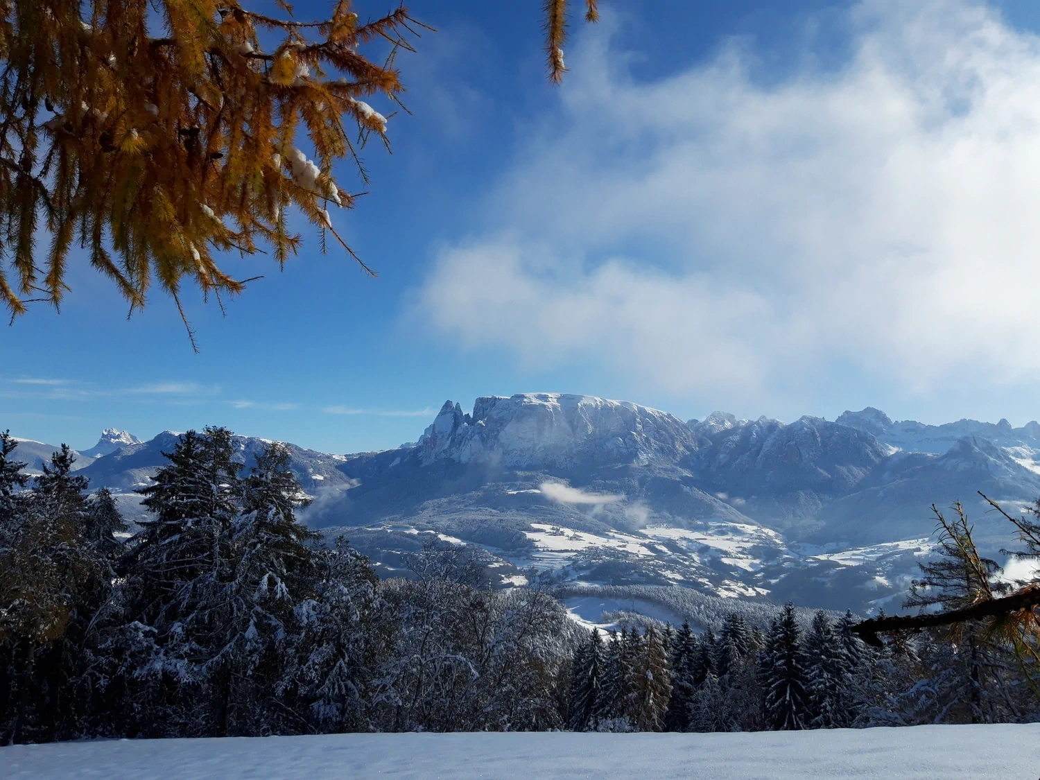 Ohne Auto zum Winterurlaub