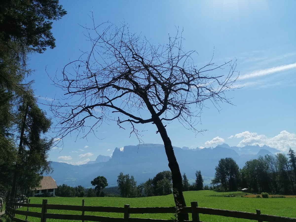 herrliche Aussicht an der Freudpromenade